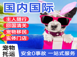 嘎洒机场邮寄国际宠物托运 【国