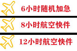 嘎洒机场邮寄快递公司,专业空运当天件